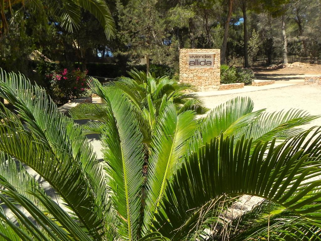 Viviendas Turisticas Vacacionales Allida プラヤ・ミジョーン エクステリア 写真